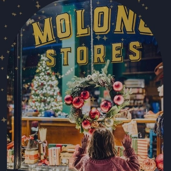 Molong Christmas Night Market