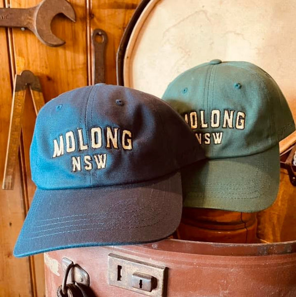 Vote for Molong - Small Top Tourism Town!