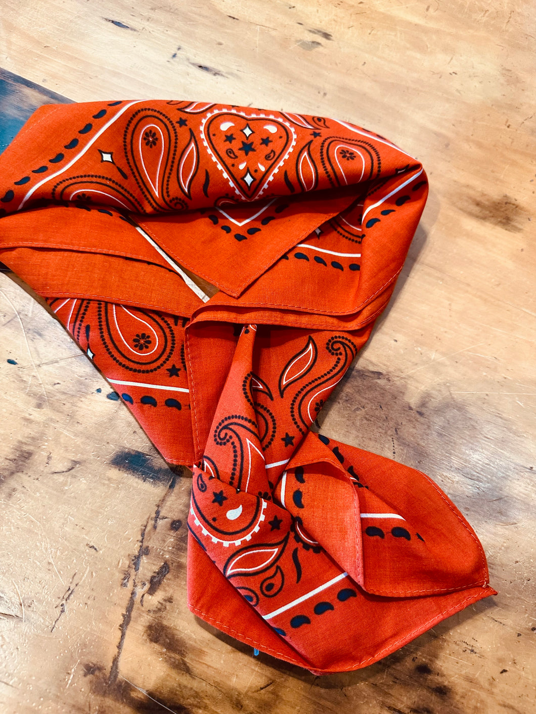 Pendleton Bandana