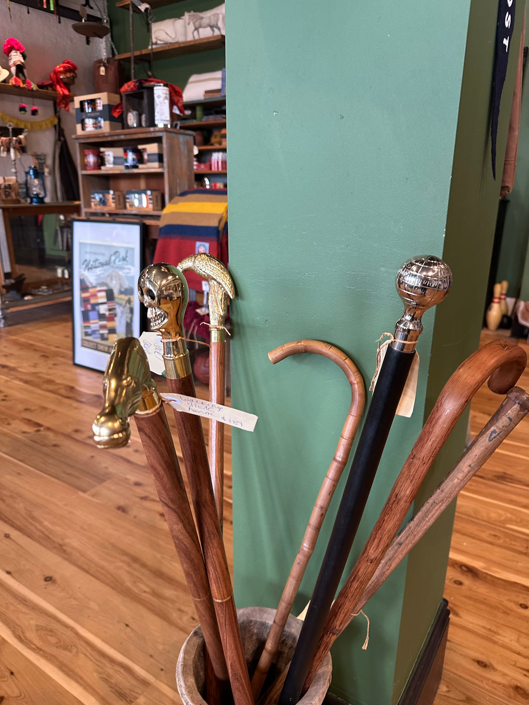 Walking sticks