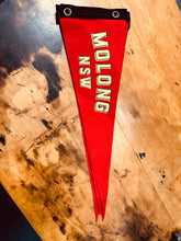 Load image into Gallery viewer, Pennant Molong
