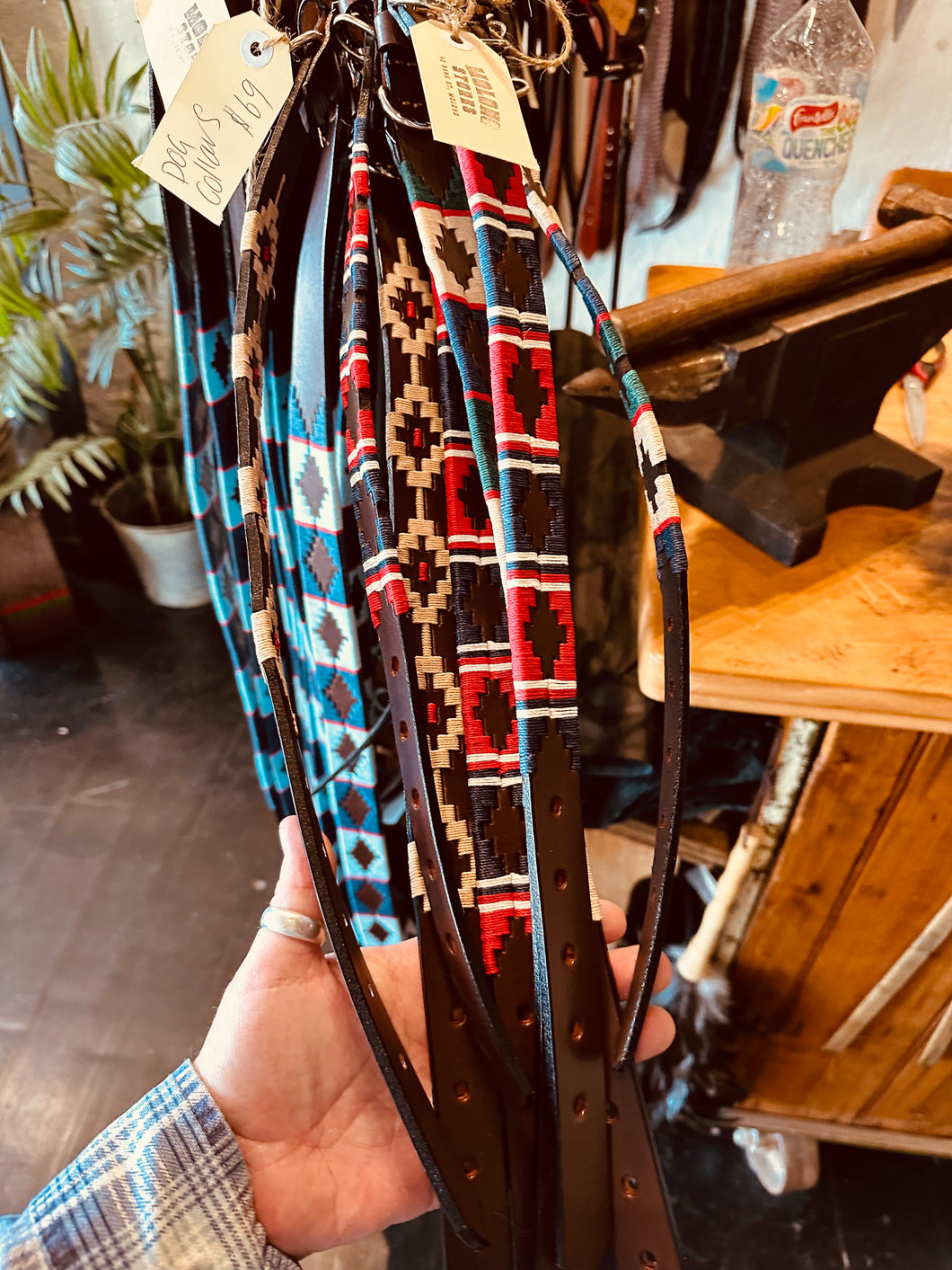 Dog Collars