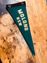 Load image into Gallery viewer, Pennant Molong
