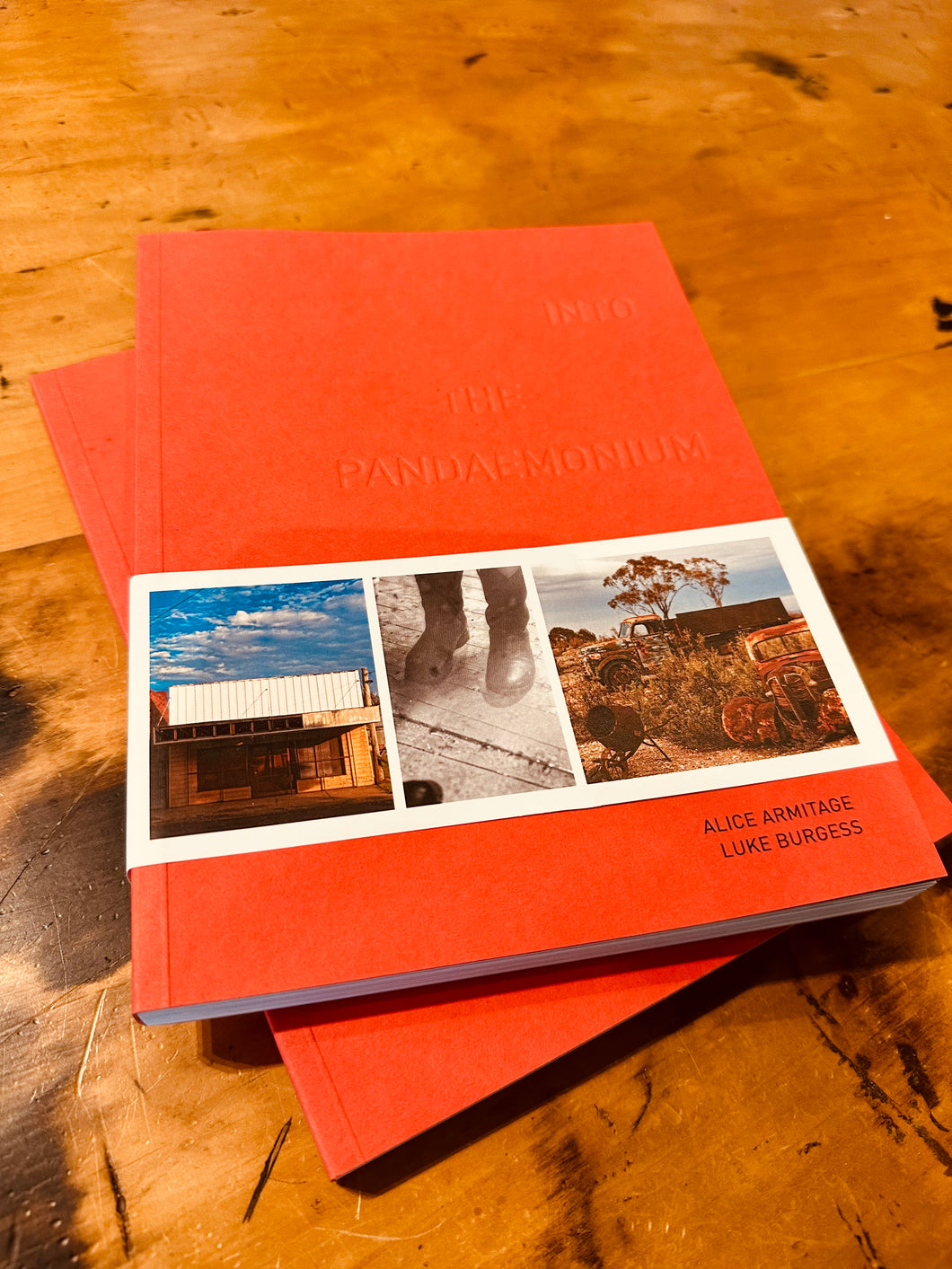 Into the Pandemonium-Book