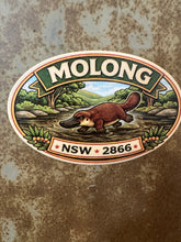 Load image into Gallery viewer, Molong Platypus Sticker

