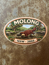Load image into Gallery viewer, Molong Platypus Sticker
