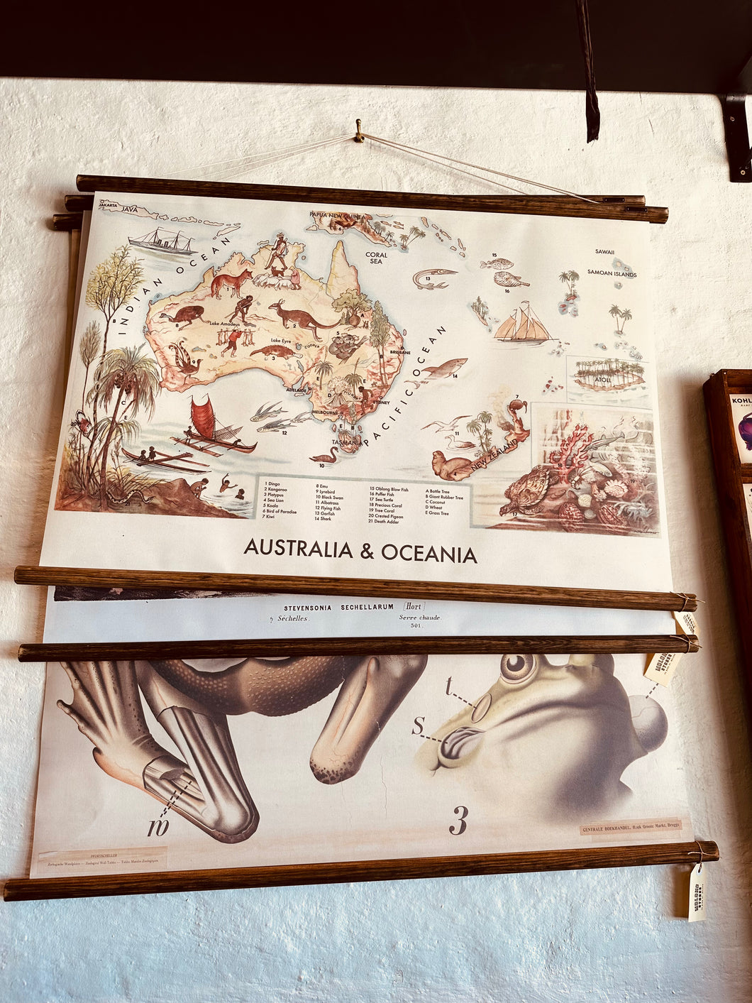 Mid Century inspired Wall Charts