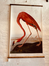 Load image into Gallery viewer, Mid Century inspired Wall Charts
