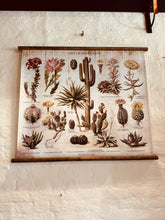 Load image into Gallery viewer, Mid Century inspired Wall Charts
