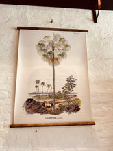 Load image into Gallery viewer, Mid Century inspired Wall Charts
