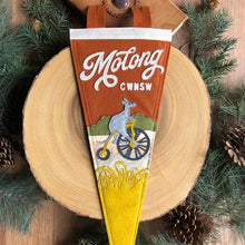 Load image into Gallery viewer, Molong Roo Felt Pennant
