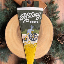 Load image into Gallery viewer, Molong Roo Felt Pennant
