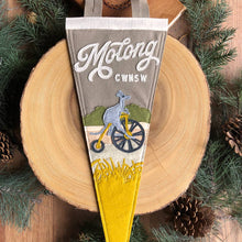 Load image into Gallery viewer, Molong Roo Felt Pennant
