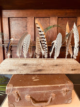 Load image into Gallery viewer, Feather Bar
